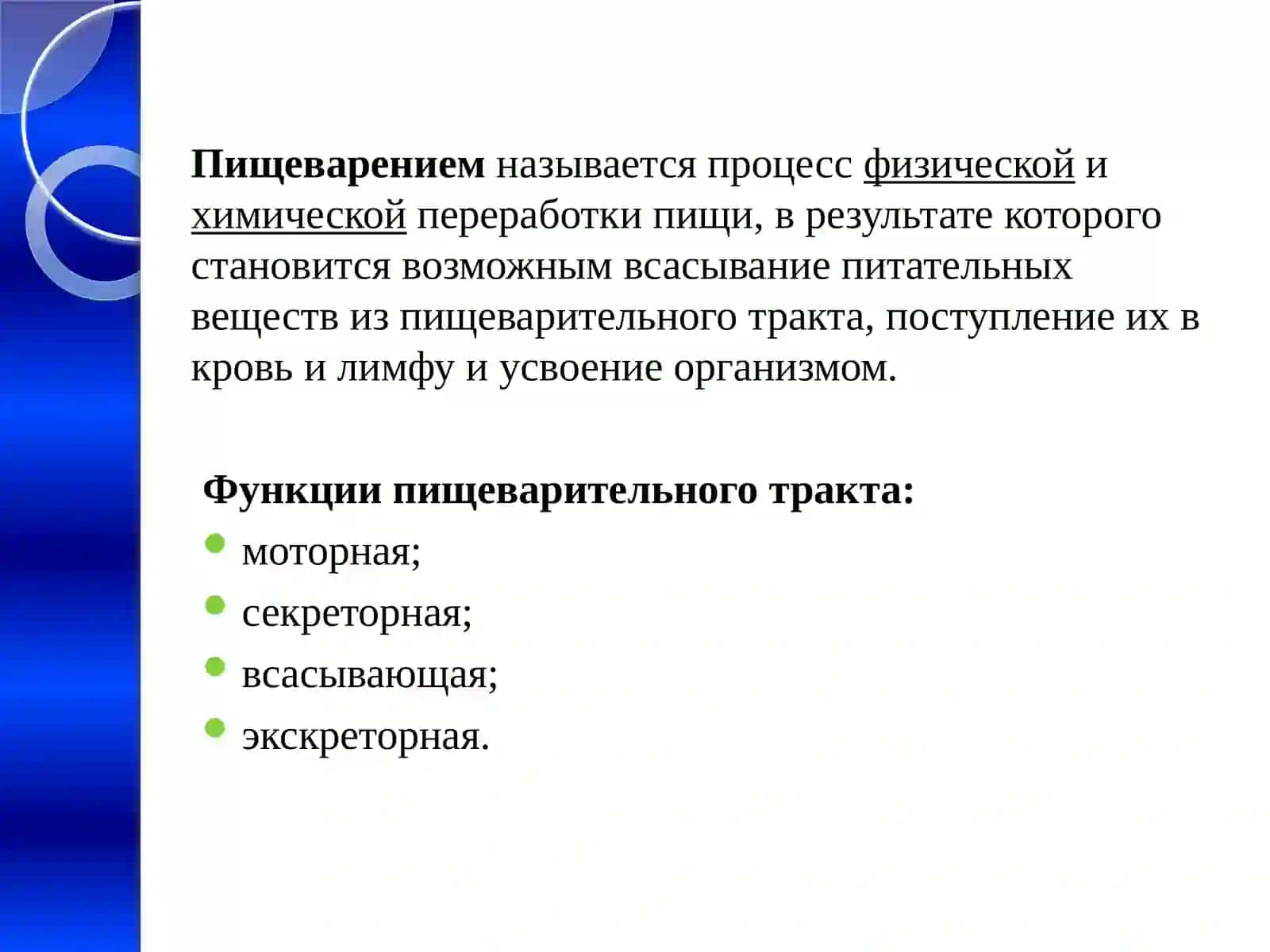 Пищеварительная система 2