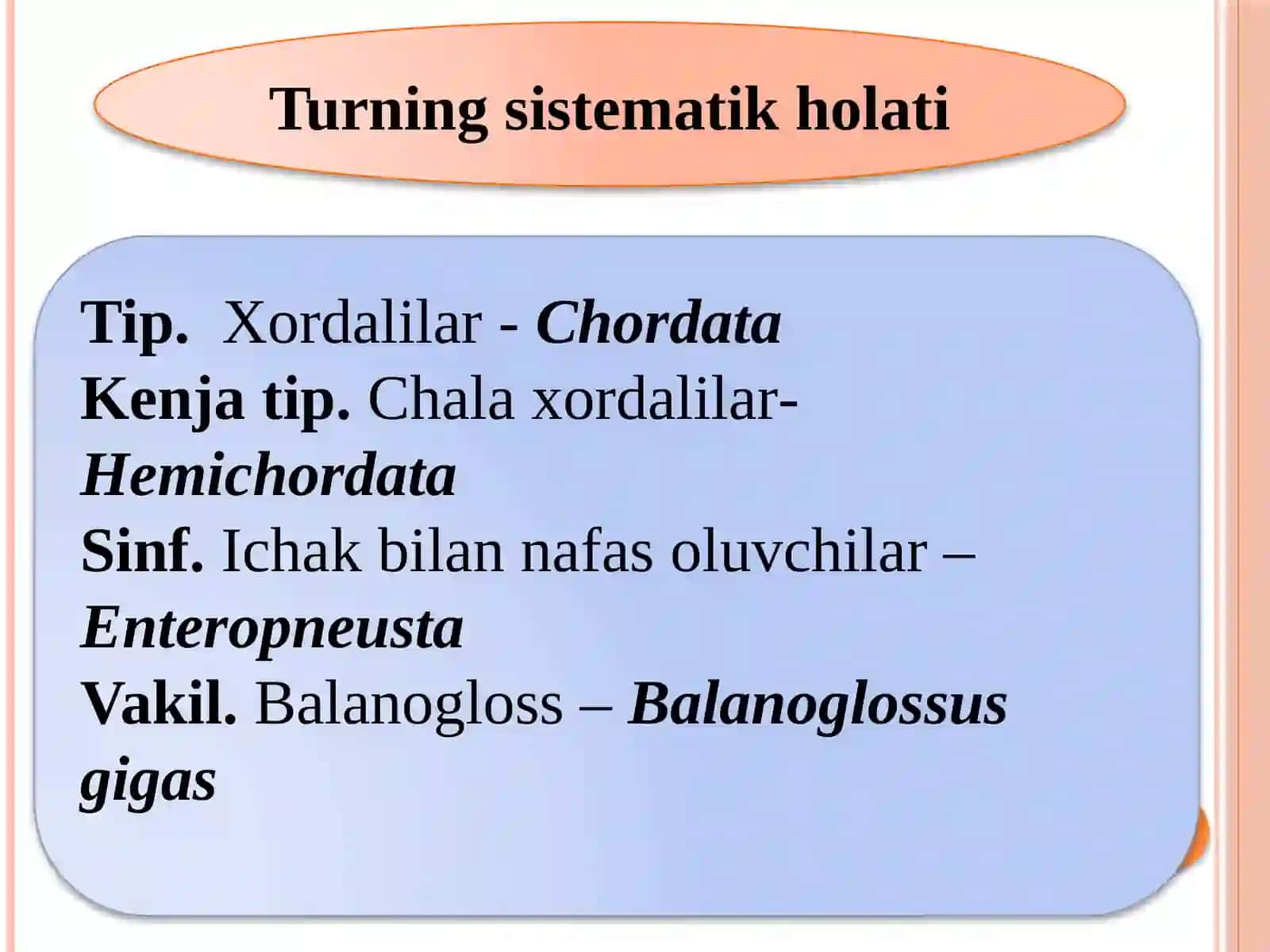 Chalaxordalilarkenjatipi 2