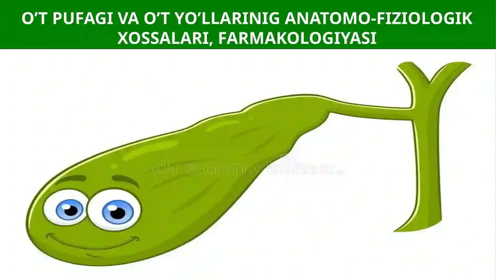 GASTROENTEROLOGIYA SIKLI 2