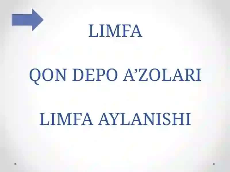 LIMFA QON DEPO A’ZOLARI LIMFA AYLANISHI 2