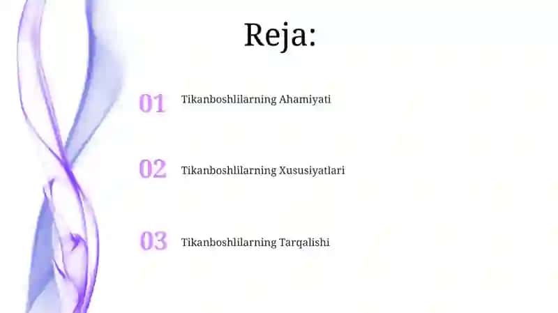 Tikanboshlilar tipi 2