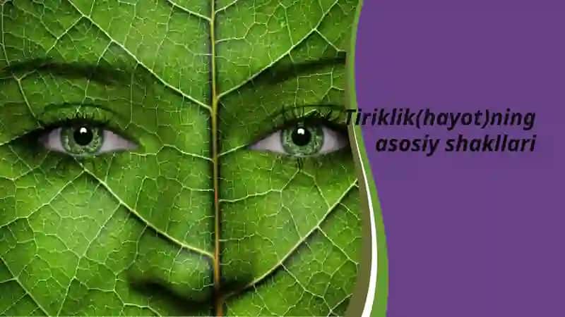 Tiriklik (Hayotning asosiy shakllari) 2