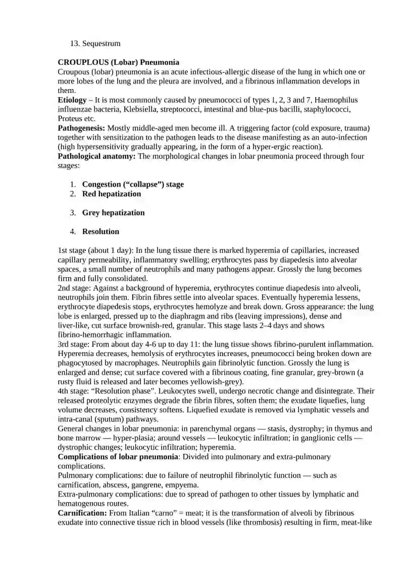 Lung Diseases Lecture Materials 2