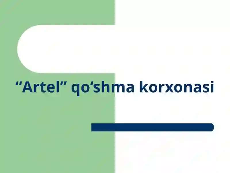 Artel qo’shma korxonasi 2