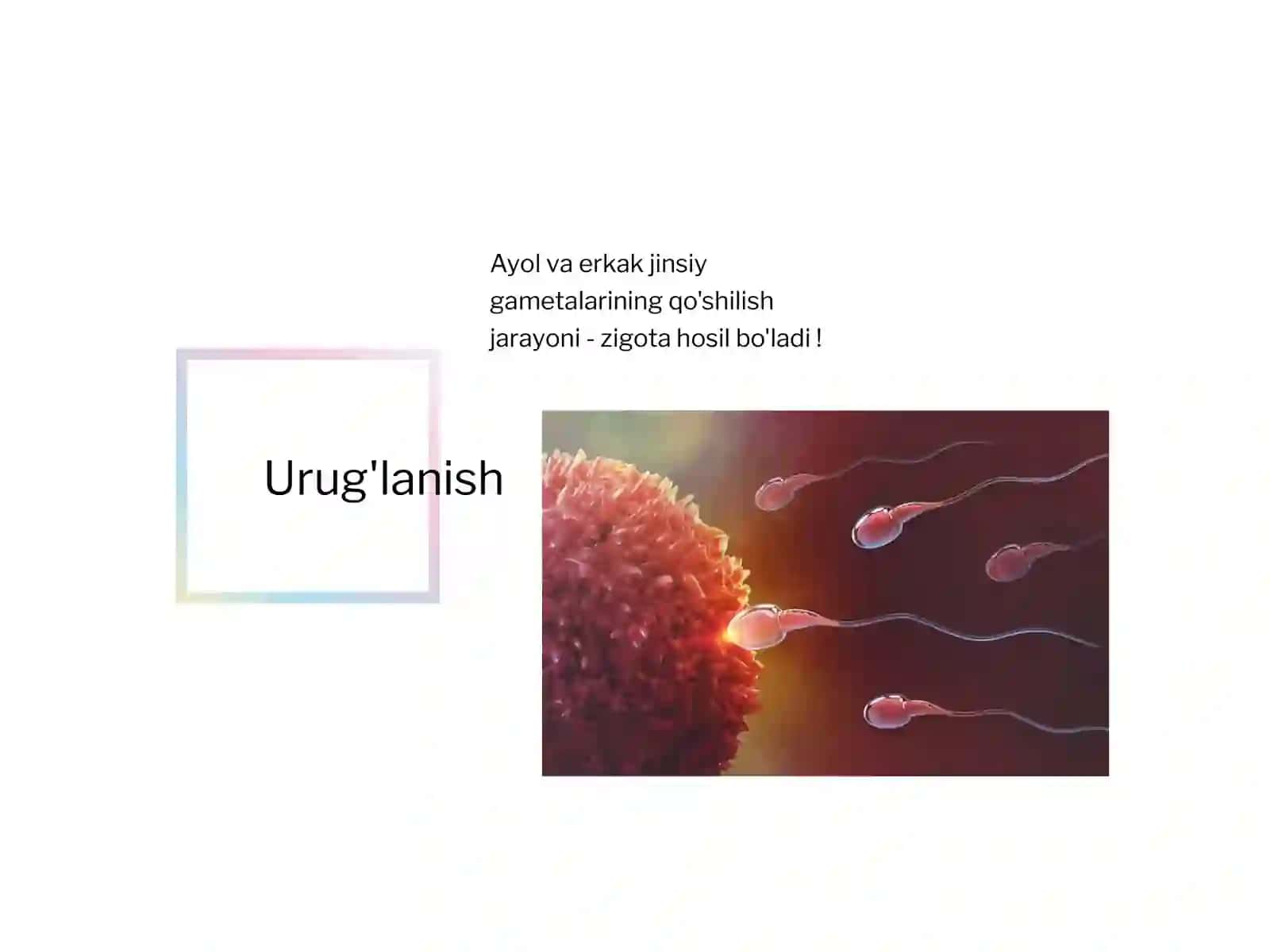 Urug'lanish 2