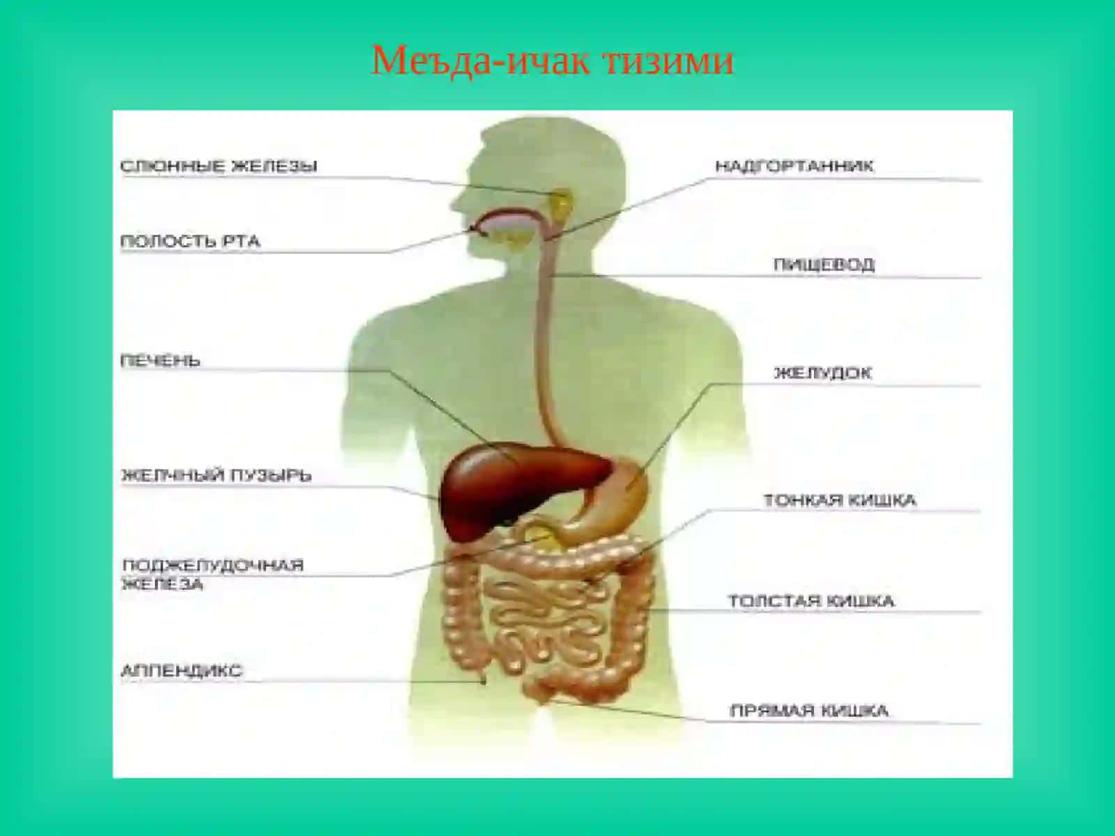 Йўғон ичак касалликлари 2