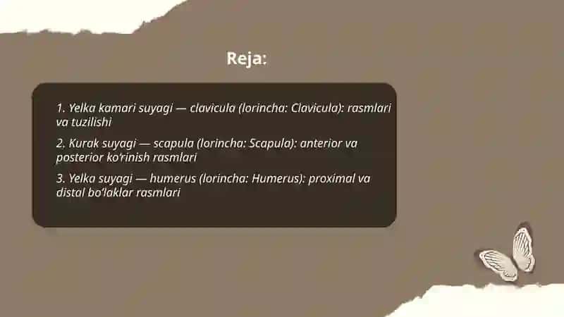 Qo'l suyaklari 2