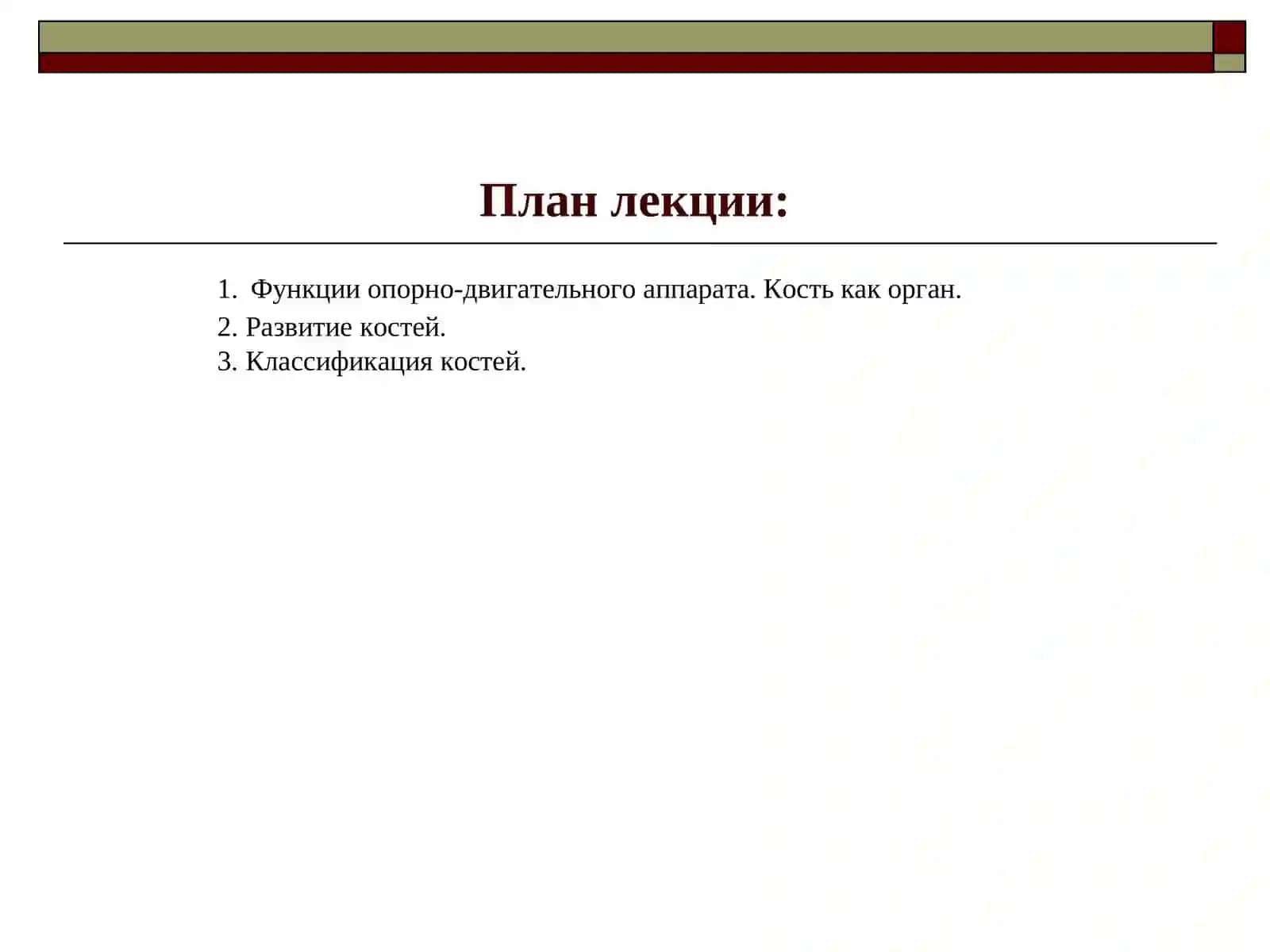 Введение в остеологию 2