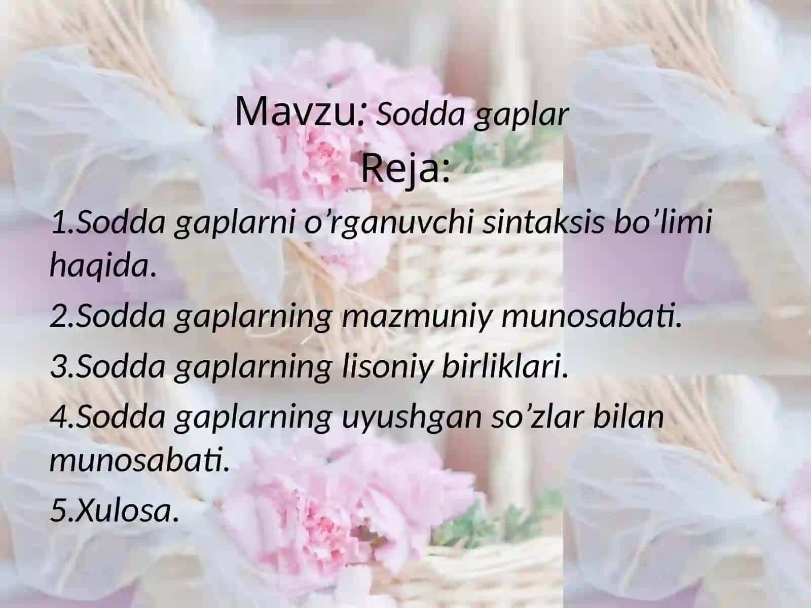 SODDA GAPLAR 2