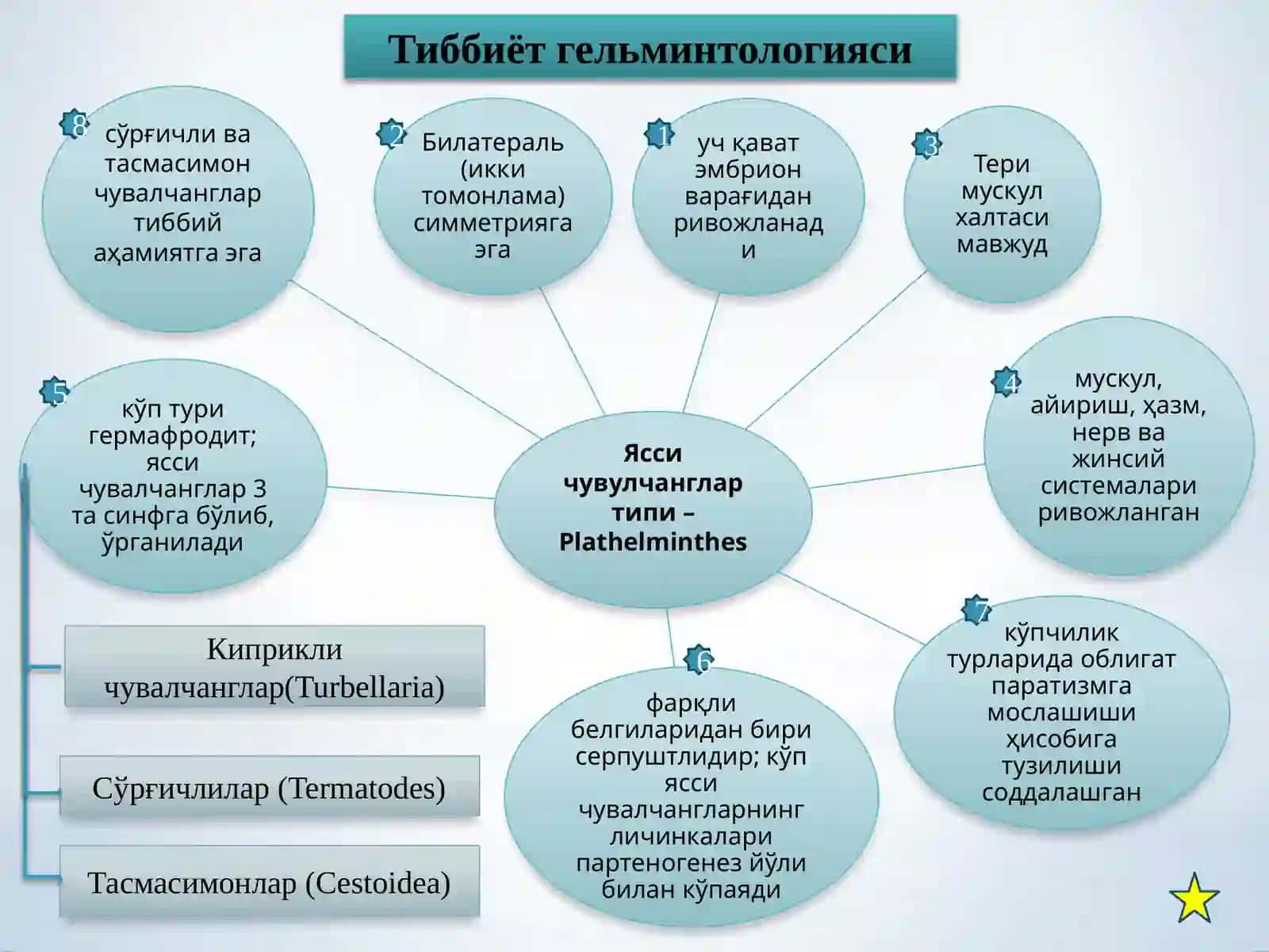 Тиббиёт гельминтологияси 2