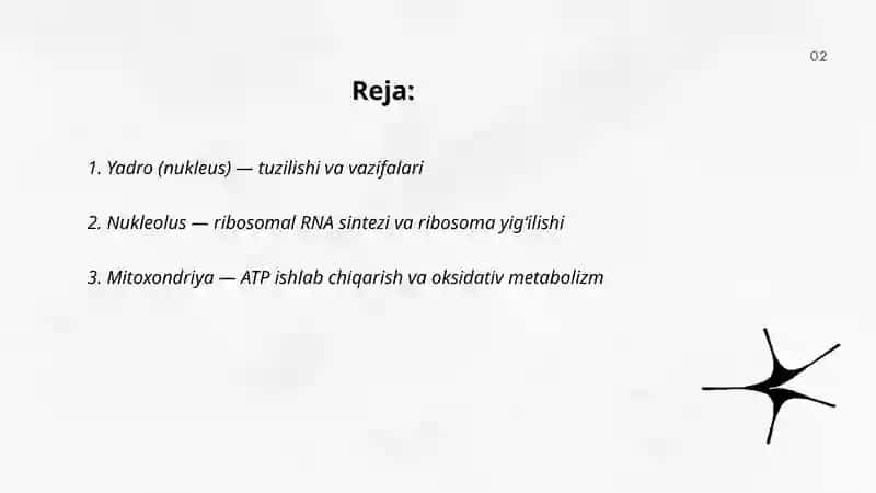 Hujayraning organellalari 2