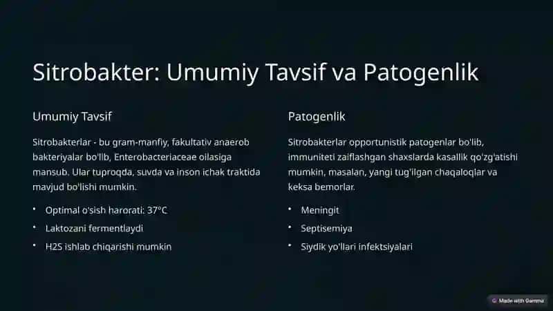 Shartli patogen diarreogen ichak gruppa bakteriyalari 2