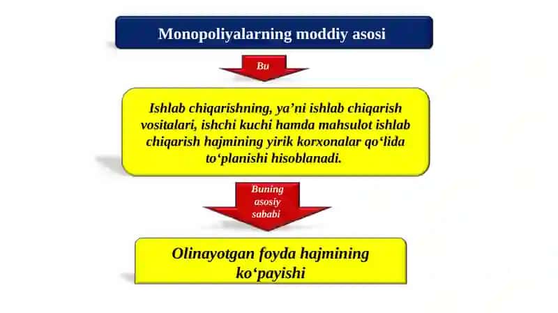 Monopoliyalarning iqtisodiy asosi va ularning turlari 2