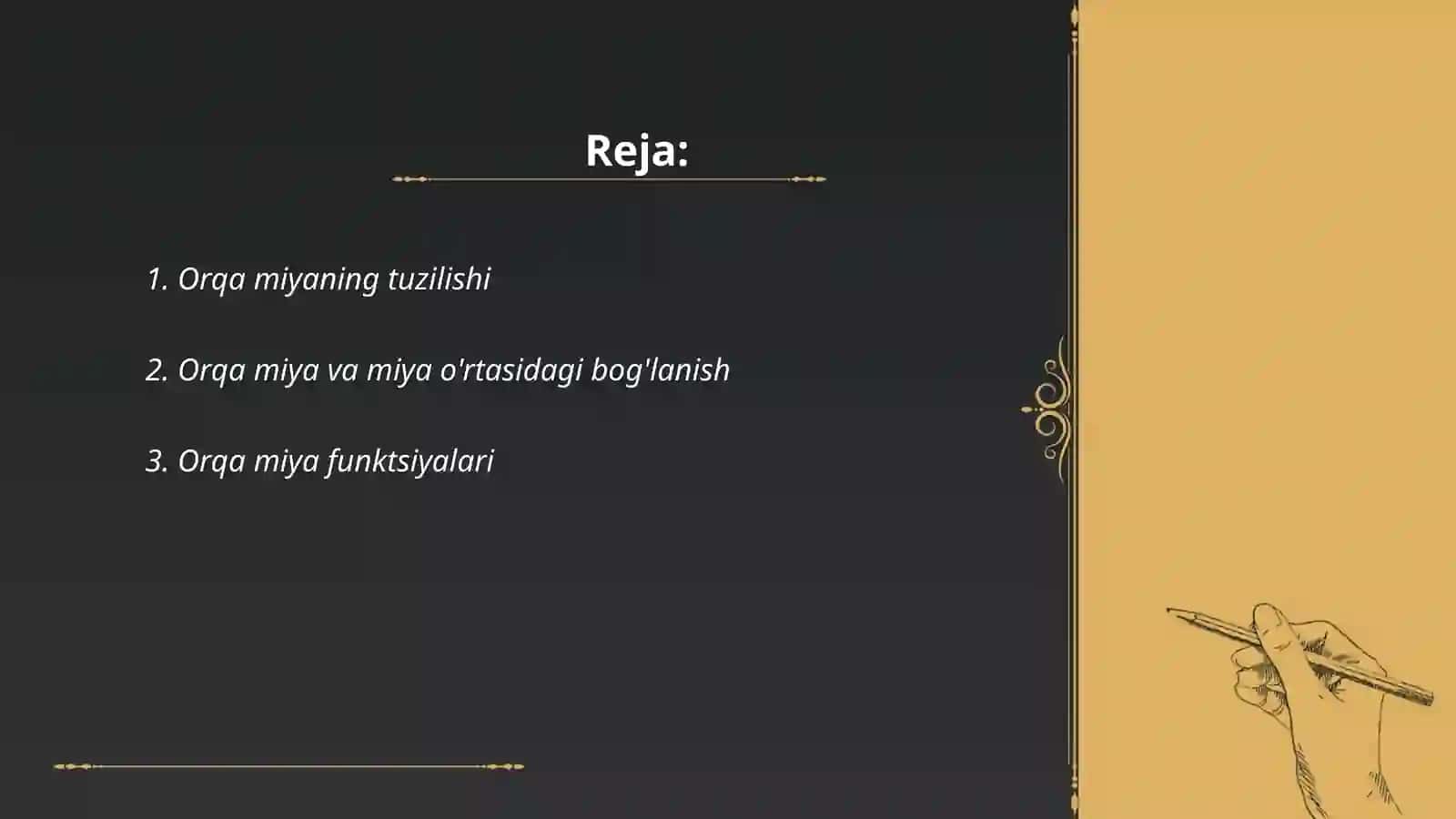 Orqa miya 2