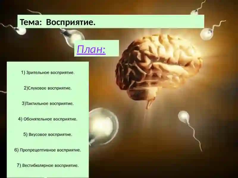 Презентация по общей психологии 2