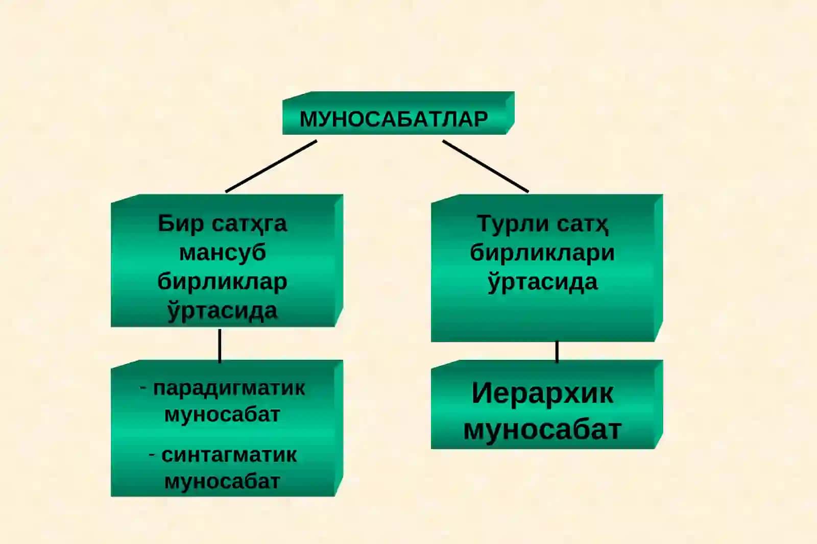 ЛИНГВИСТИК БИРЛИКЛАР ЎРТАСИДАГИ МУНОСАБАТЛАР 2