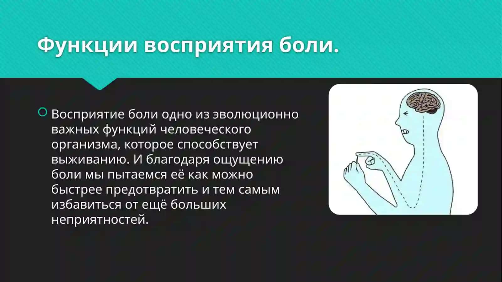 Восприятие боли. Управление болью 2
