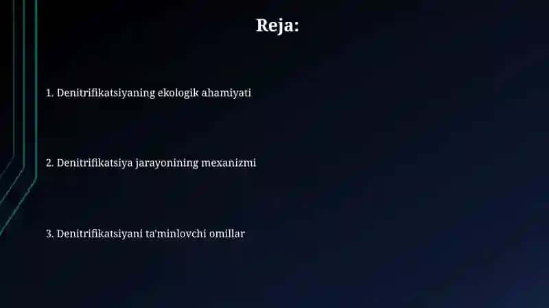 Denitrifikatsiya jarayoni 2