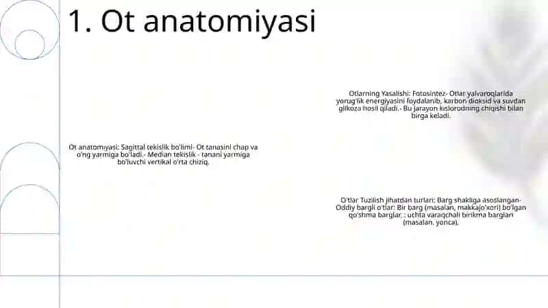 Otlarning Yasalishi 2