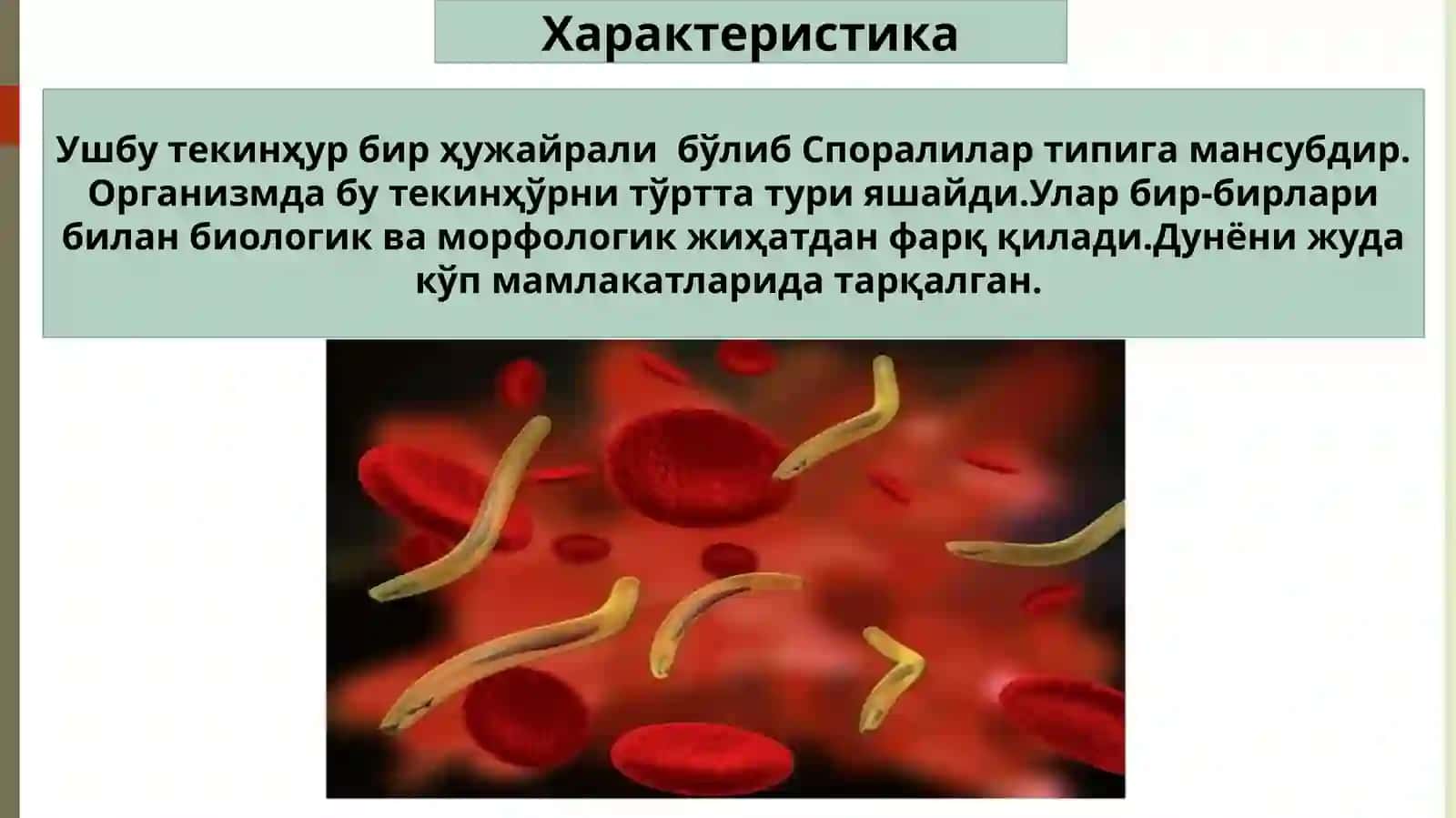 Безгакплазмодияси 2