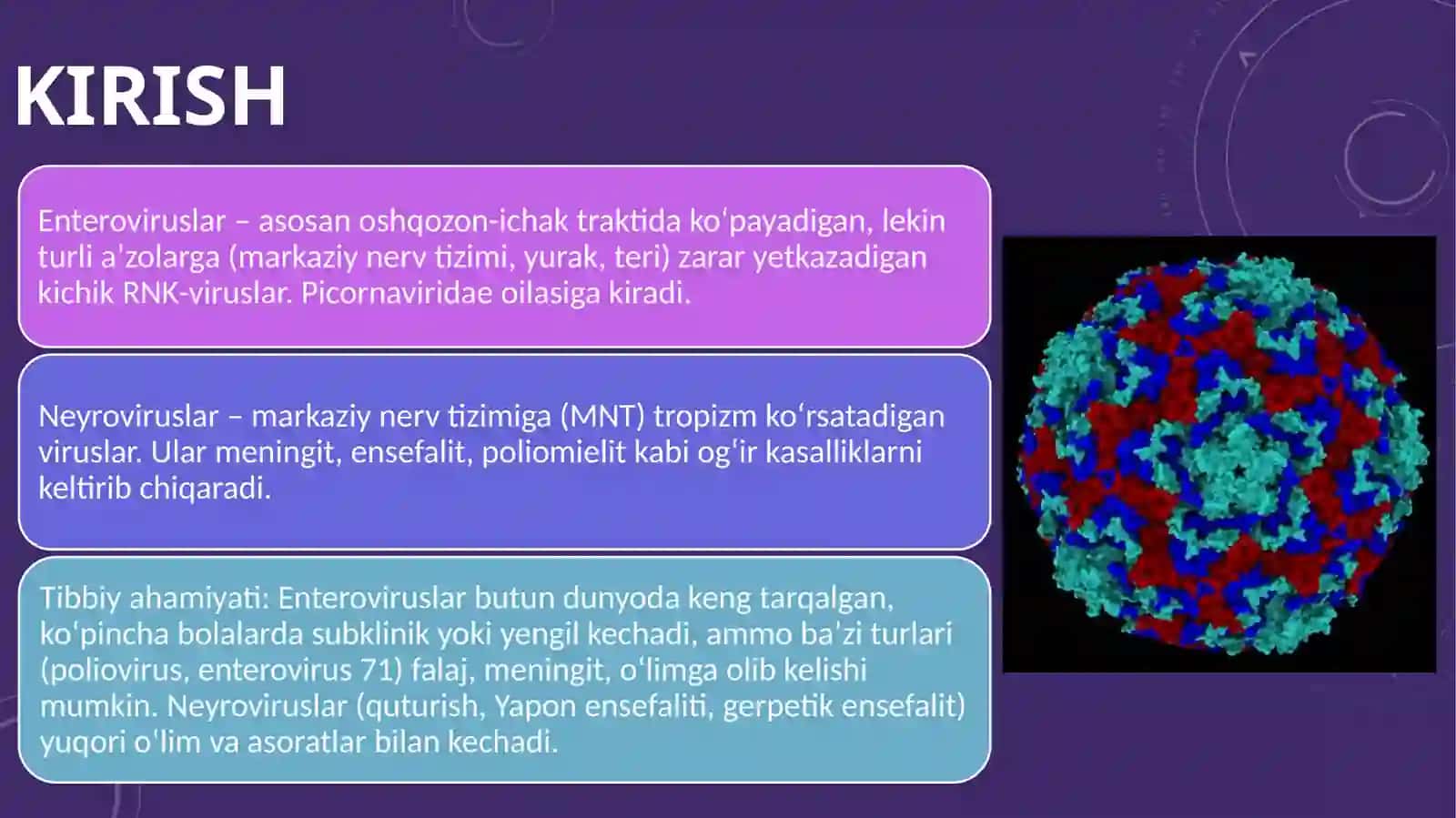 ENTERO VA NEYROVIRUSLAR 2
