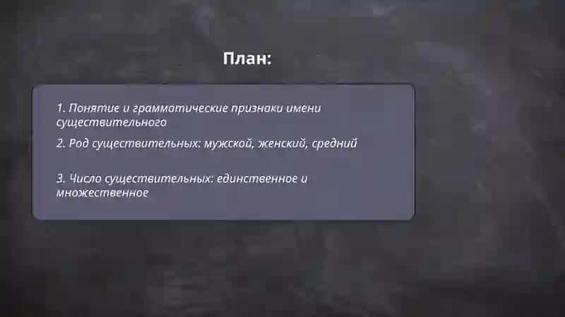 Имя существительное 2
