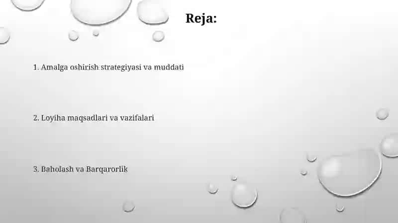 Korrupsiyasiz soha loyihasi 2