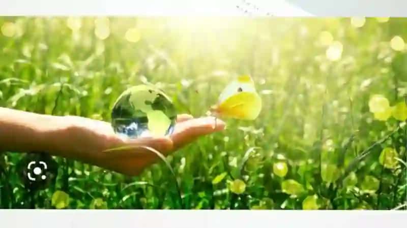 Problémes de l'environnement 2