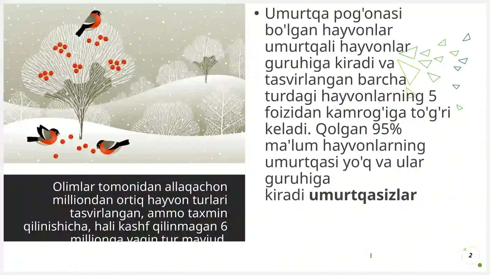 Umurtqasiz hayvonlar 2