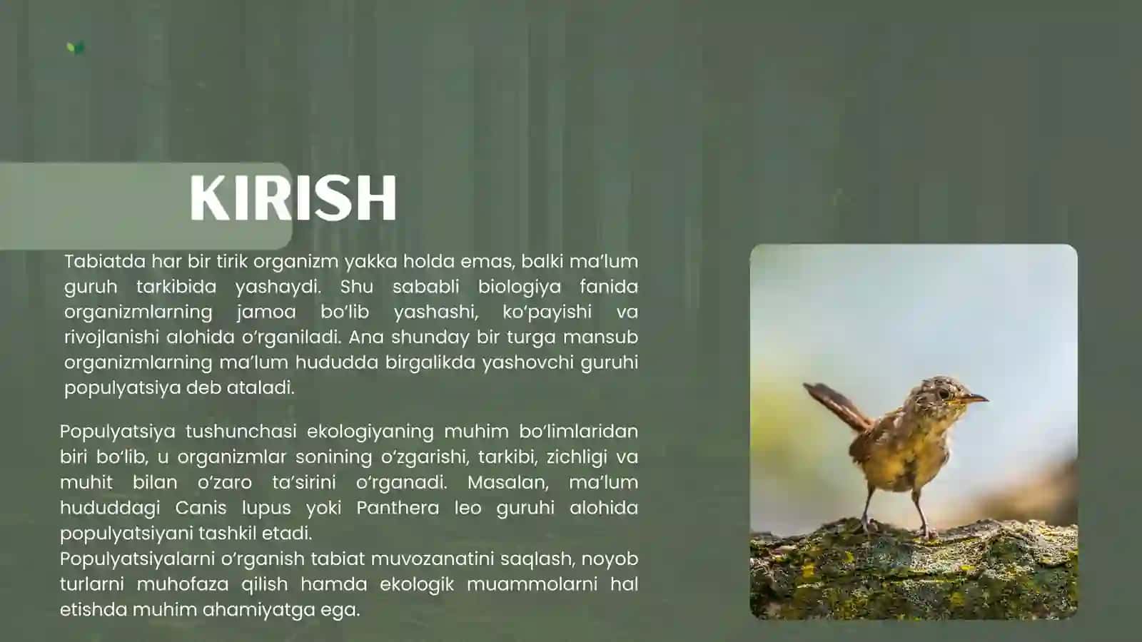POPULATSIYA HAQIDA TUSHUNCHA 2