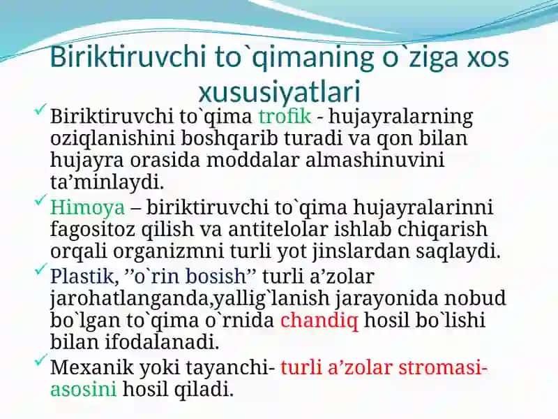 Biriktiruvchito`qimaninghujayraviyelementlari 2