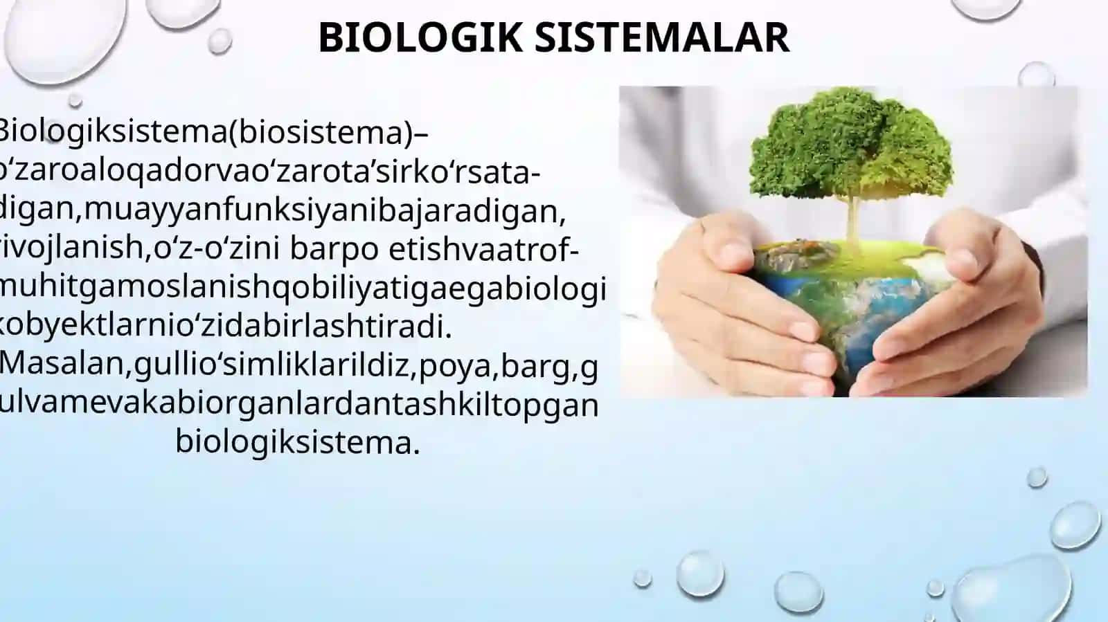 Ekologiya va hayot 2