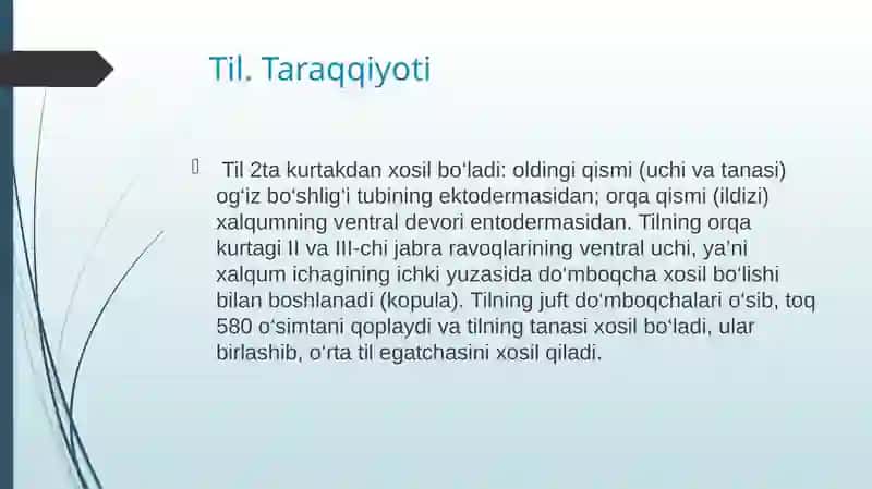 Ta’mbilisha’zosining morfo-funksional tavsifi 2