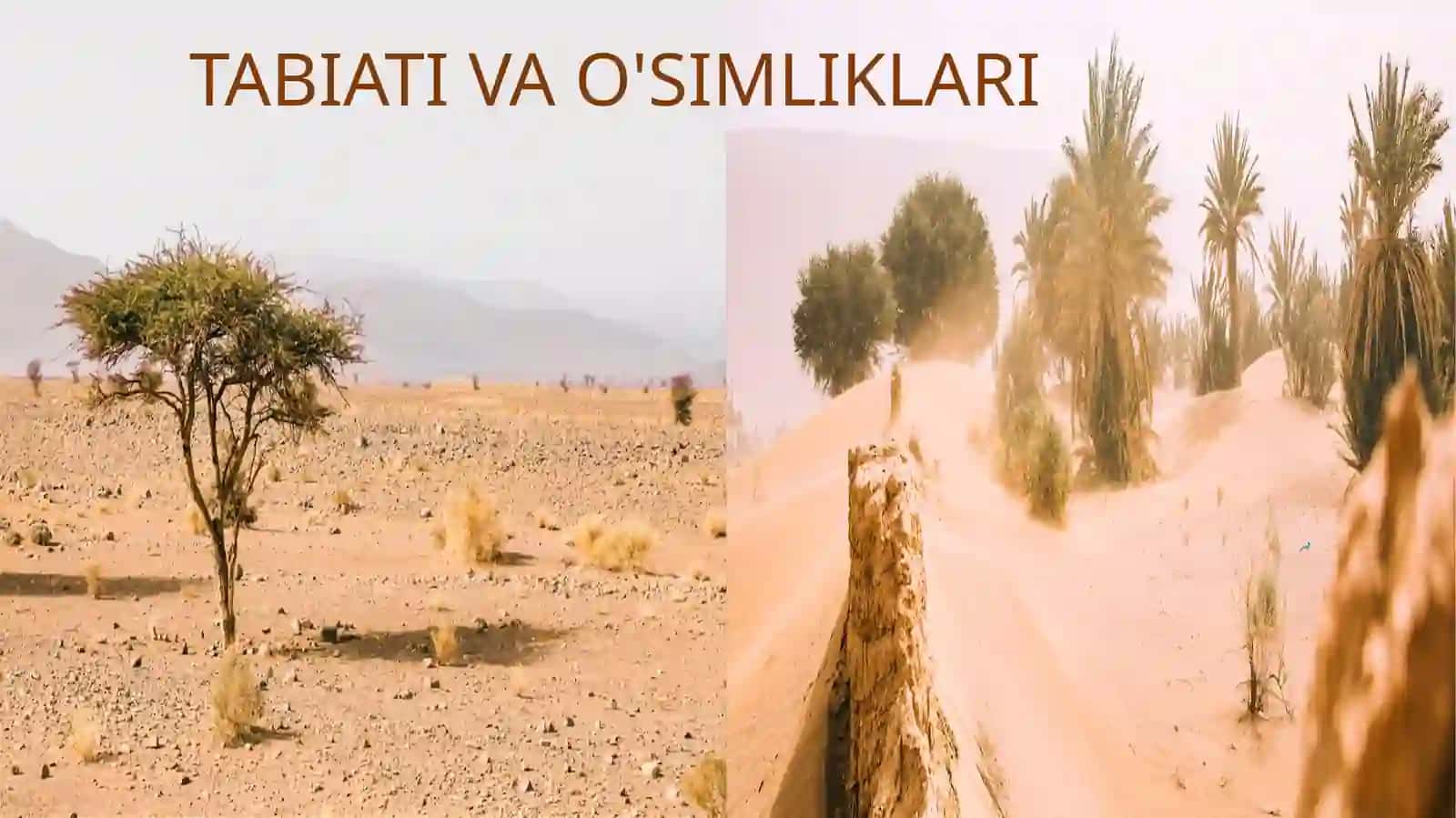 PPT Saudiya Arabistoni Qirolligi 2-qism 2