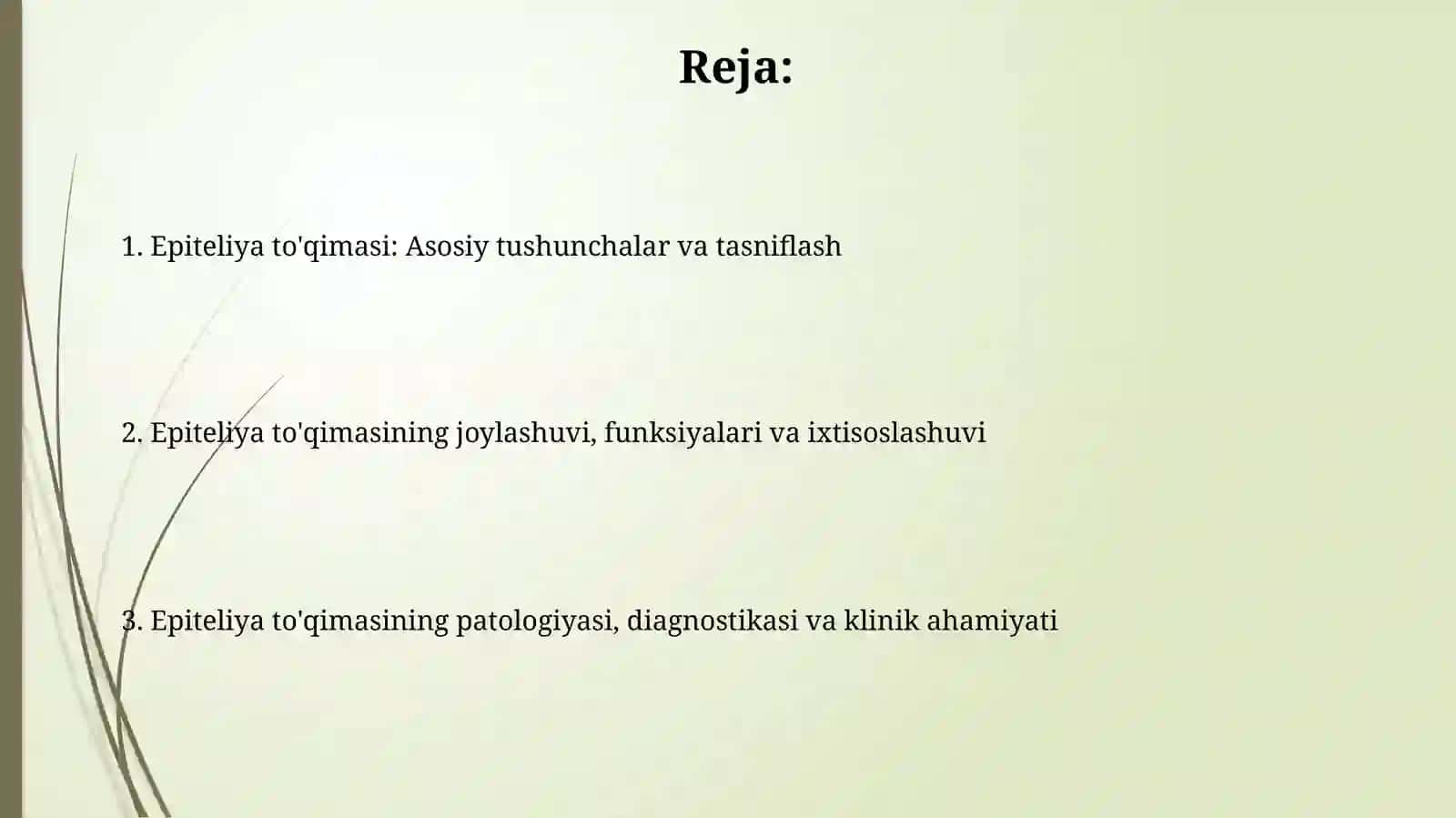 Epiteliytoqima 2