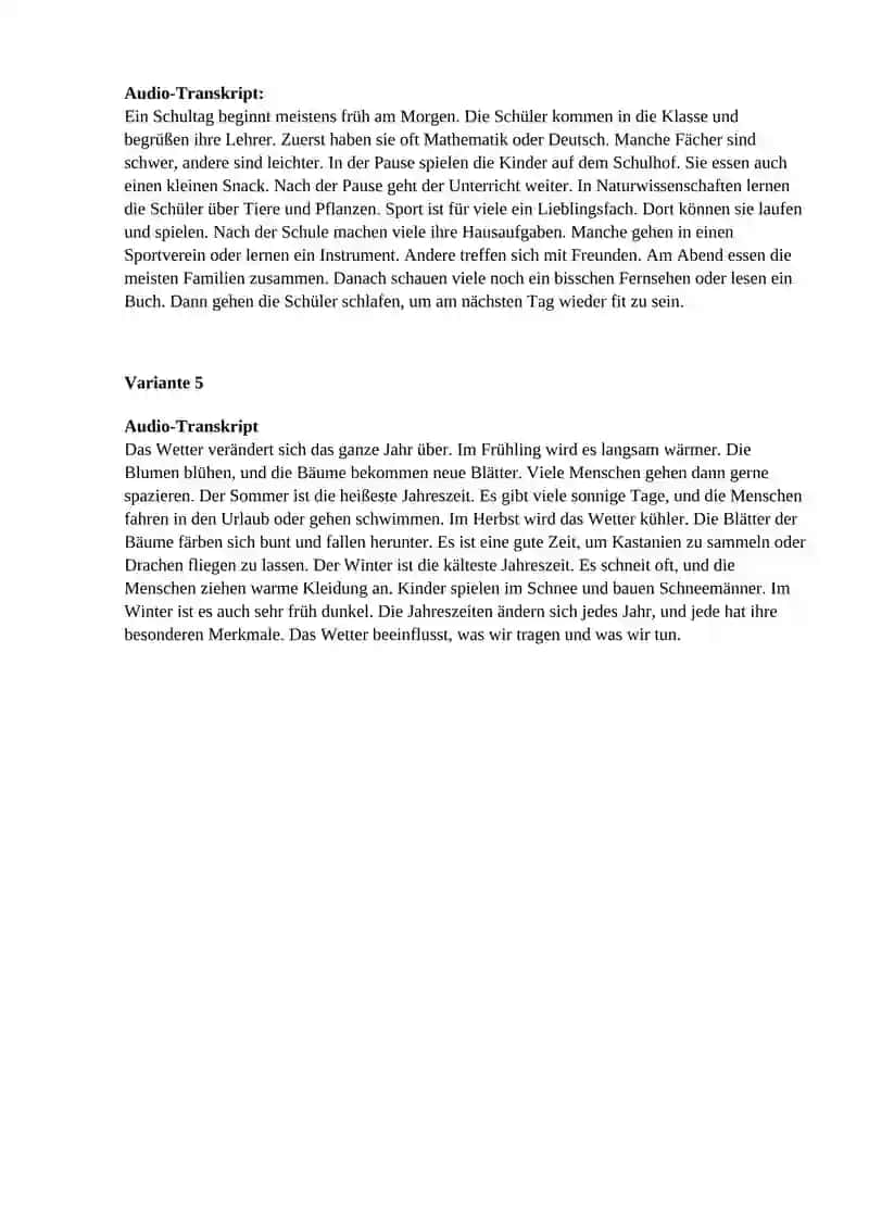 Audio-Transkript (Einfache Version) 2