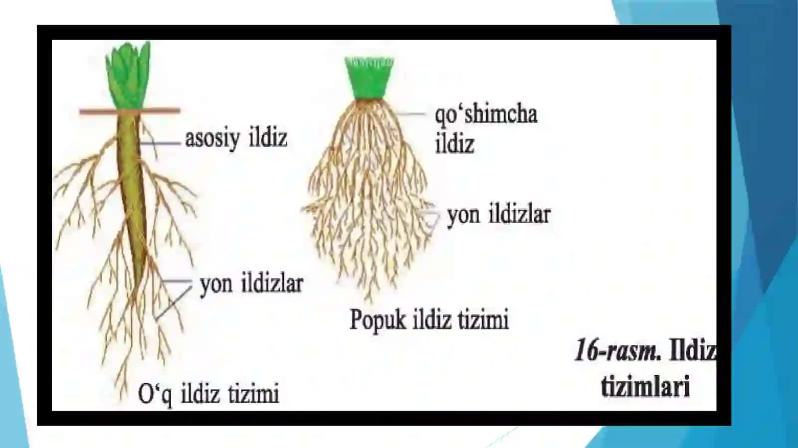 ILDIZvaUNING TURLARI 2