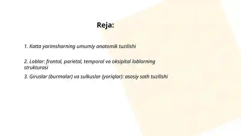 Bosh miya katta yarimsharlarining tuzilishi 2