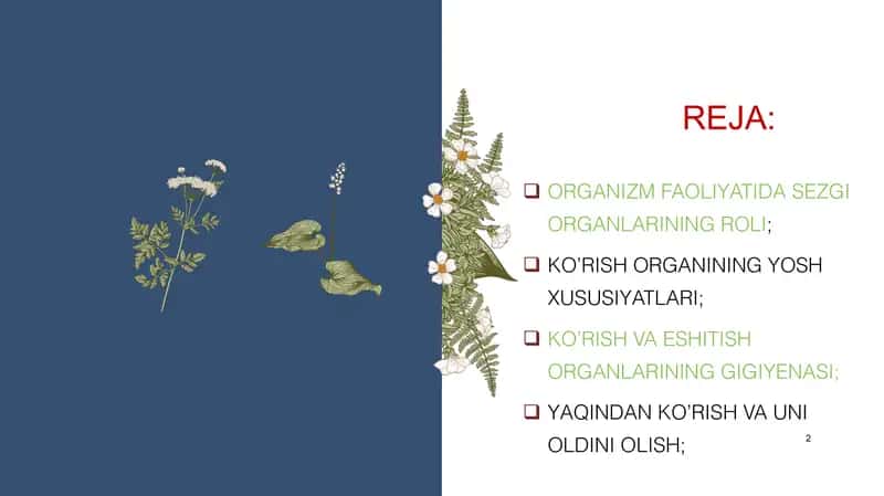 Qurbonova Komila 2