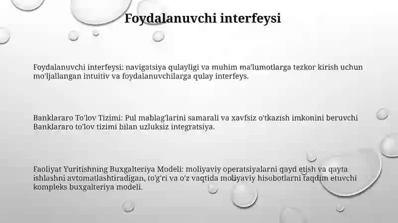 Faoliyat Yuritishning Buxgalteriya Modeli 2