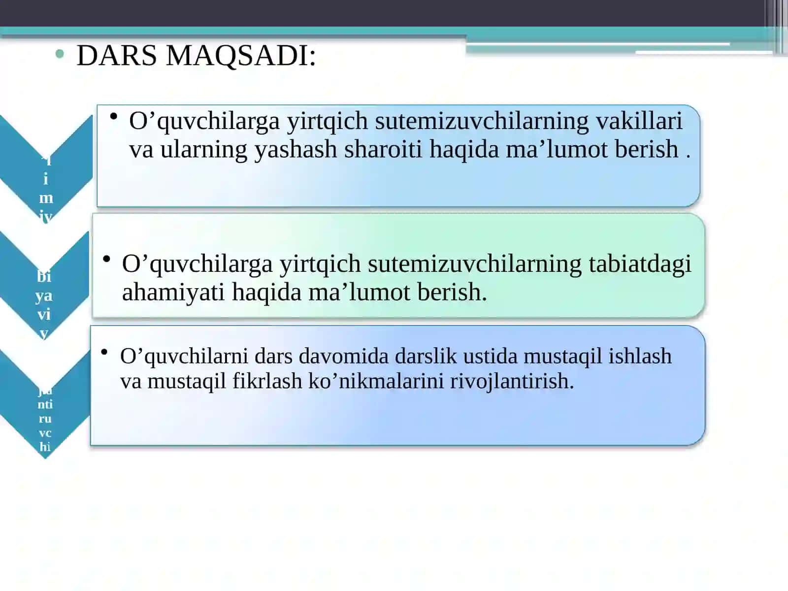 Yirtqich sutemizuvchilarturkumi 2