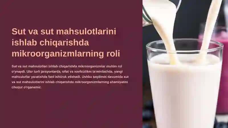 Sut va sut mahsulotlari 2