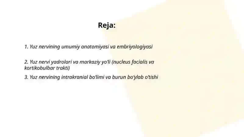 Yuz nervi anatomiyasi va kasalliklari 2