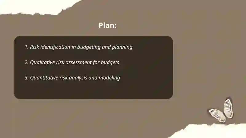 Risk Management in Budgeting and Planning 2