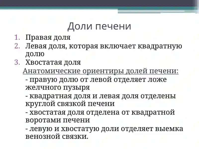 Ультразвуковая диагностика заболеваний печени 2