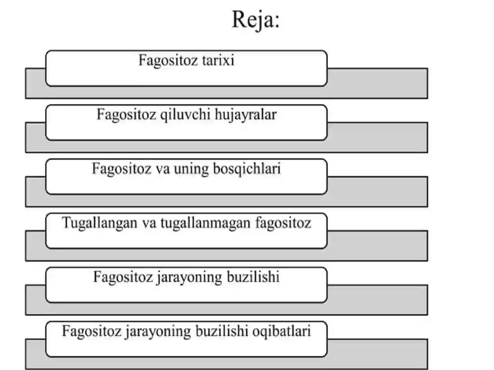 Fagotsitoz jarayoni va uning bosqichlari. Yalligʻlanish 2