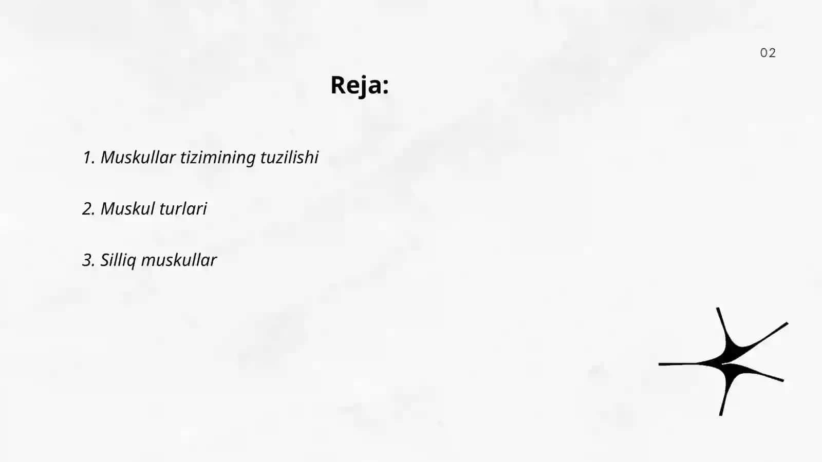 Muskullar tizimi 2