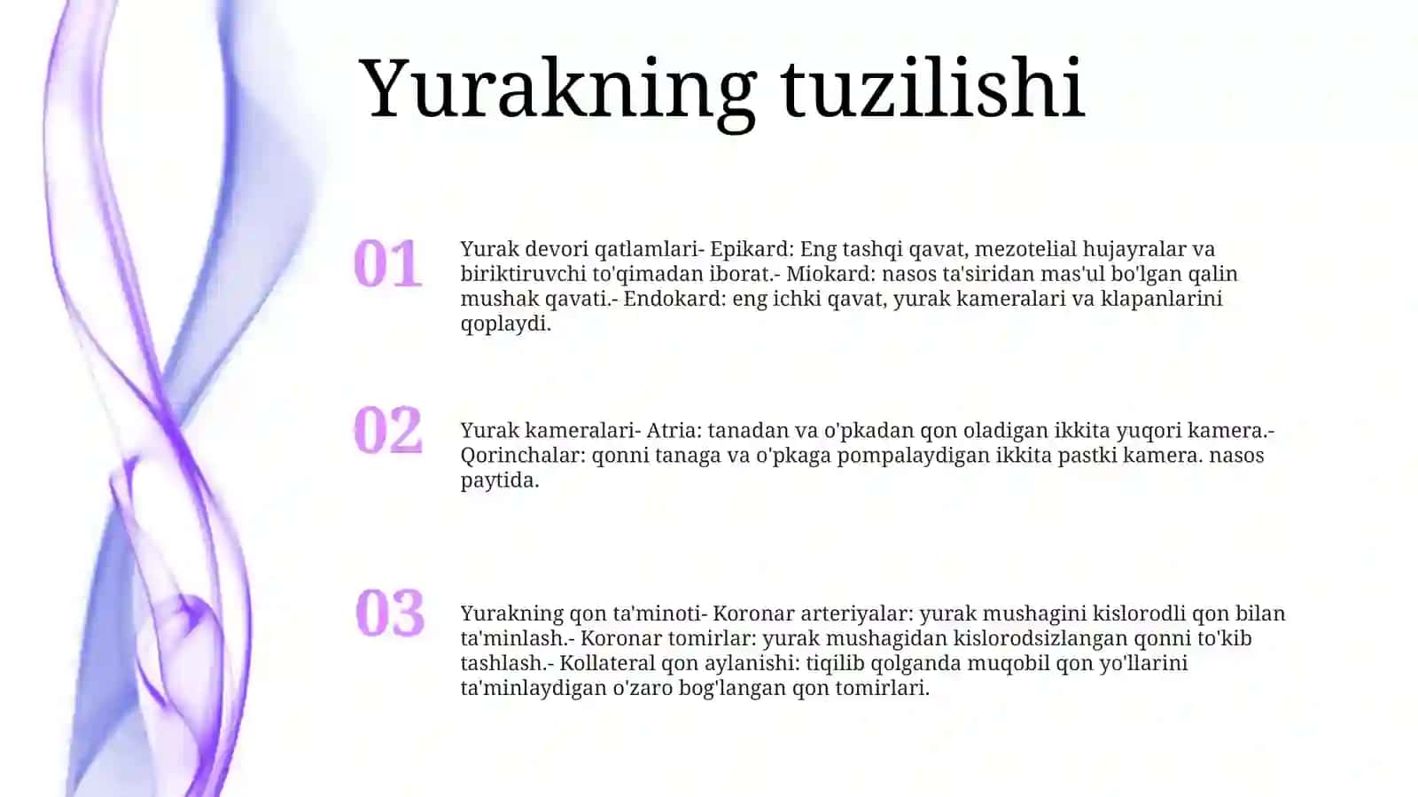 YurakAnatomiyasi 2