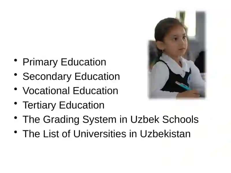 Primary Education 2