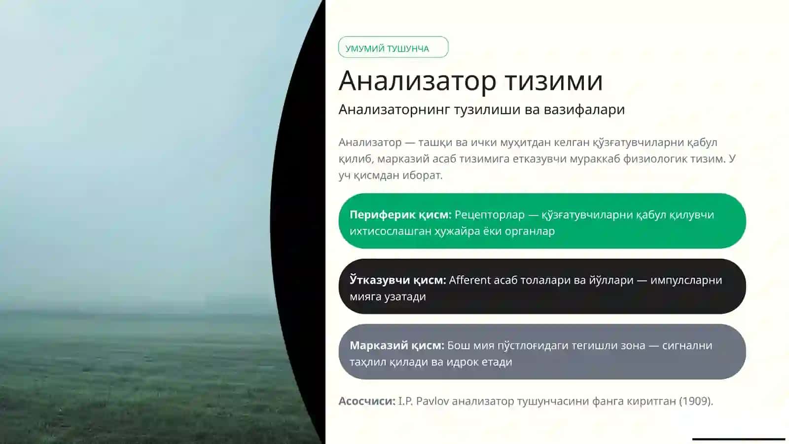 Анализаторларфизиологияси 2